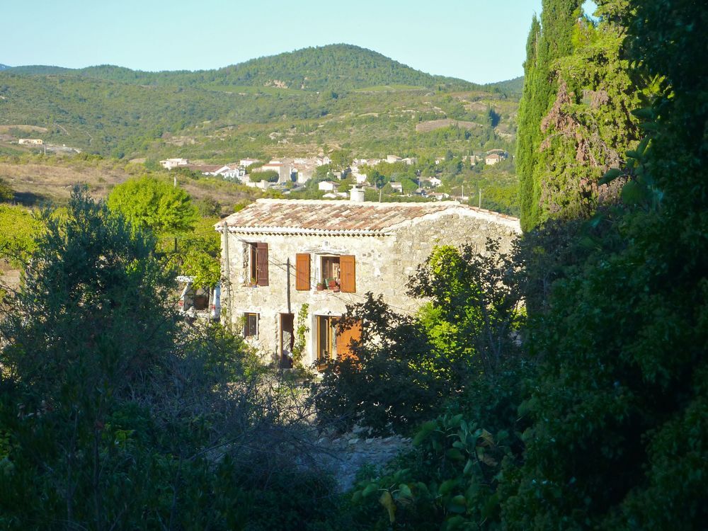 Vente Maison Ancienne écurie de caractère avec 1 hectare de terrain Embres-et-castelmaure