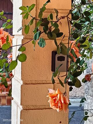 Location  Appartement 