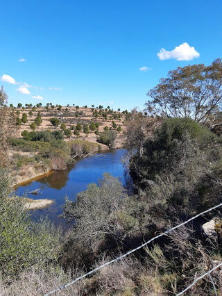  Ferme � vendre 2/3 pi�ces 243 m� M�rtola, portugal