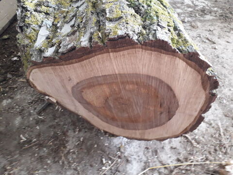 BOIS DE NOYER 250 Effiat (63)