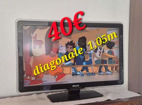 Télévision  Philippe 30 La Chapelle-Saint-Florent (49)