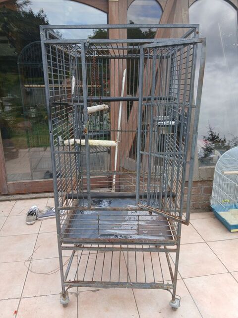 Cage sur roulettes pour perroquet ou perruche 35 62740 Fouquières-lès-lens