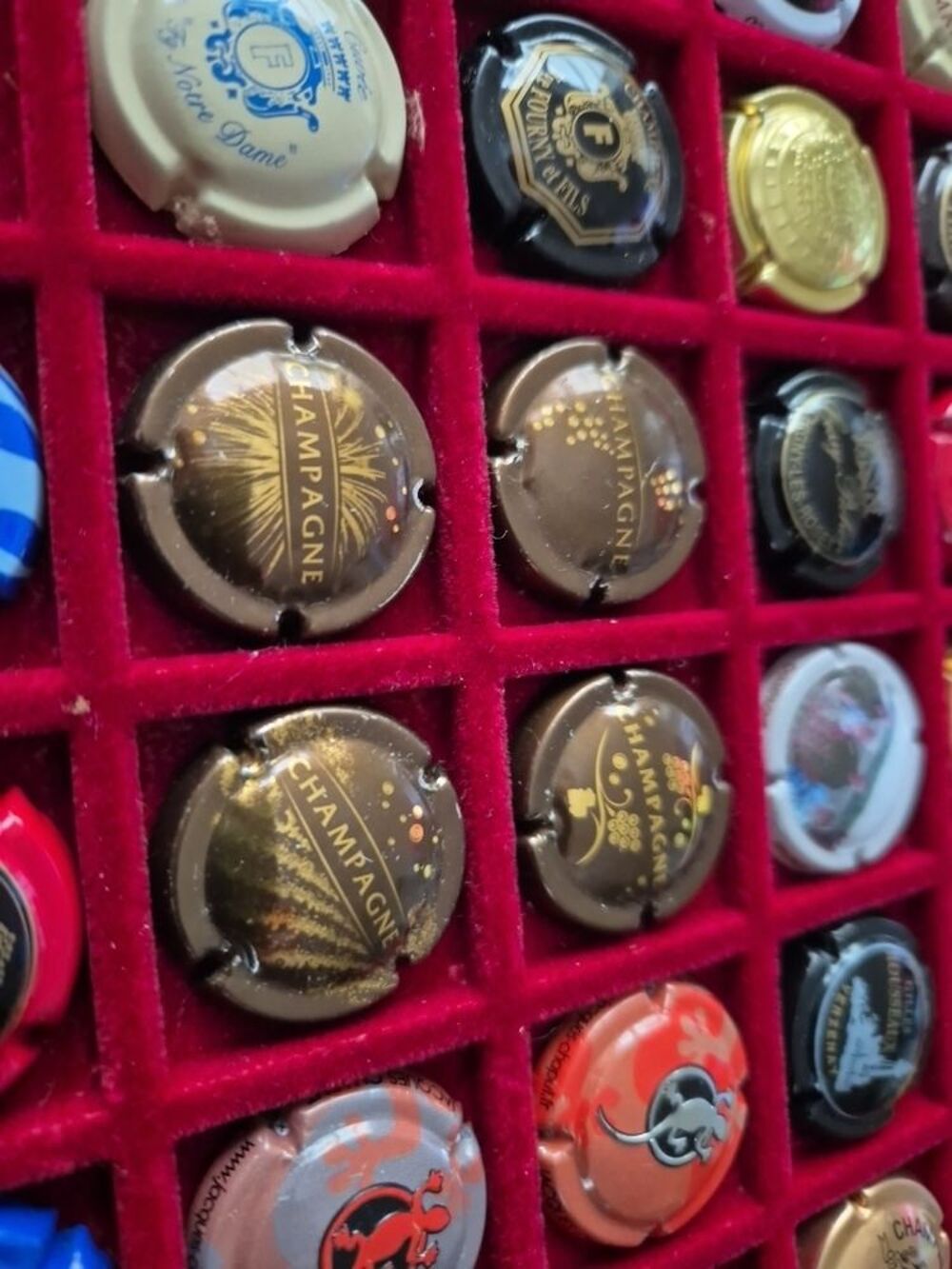 Capsules de champagne 