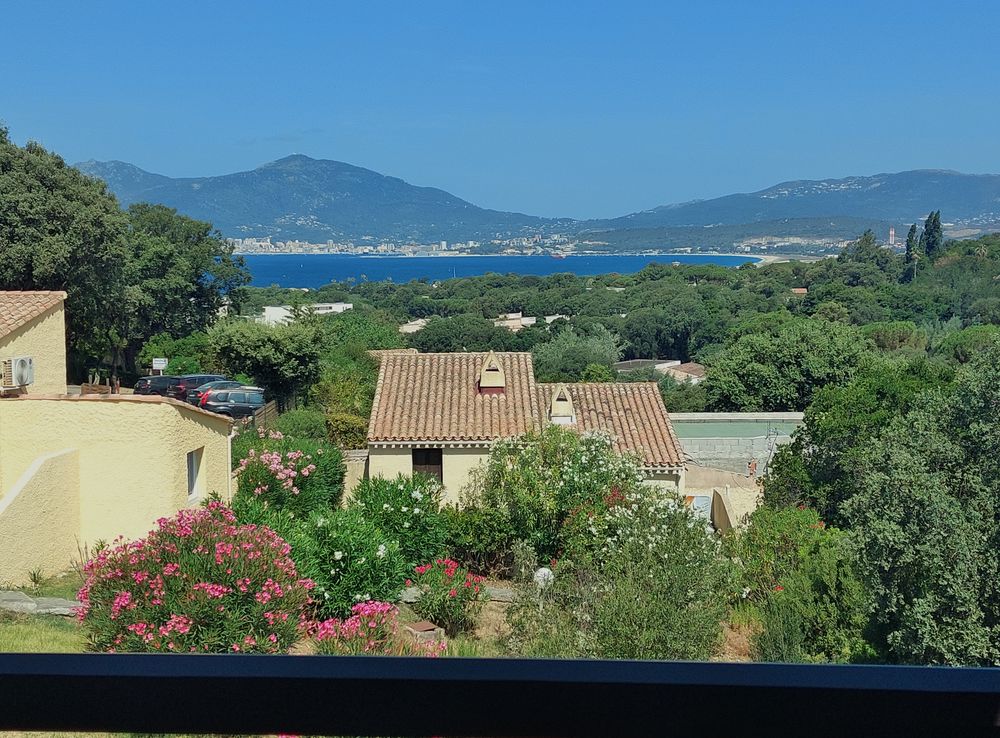 Vente Duplex/Triplex Appartement Duplex climatisé 3 chambres ? vue mer Porticcio
