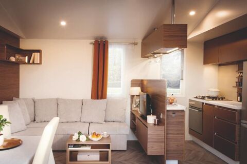 Mobil-Home Mobil-Home 2017 occasion Argel&egrave;s-sur-Mer 66700