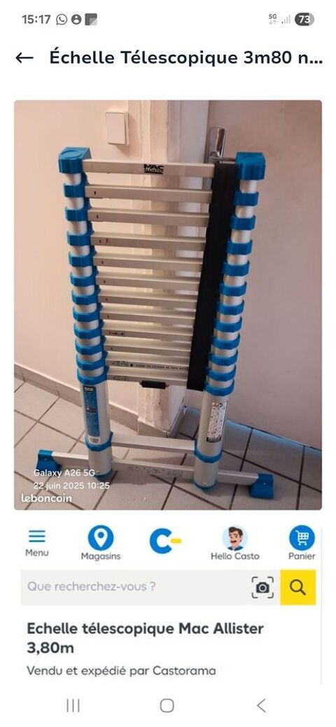 �chelle t�lescopique 3m80 149 Annet-sur-Marne (77)