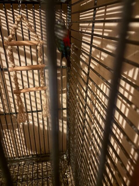 Conure eqm 250 30900 Nimes