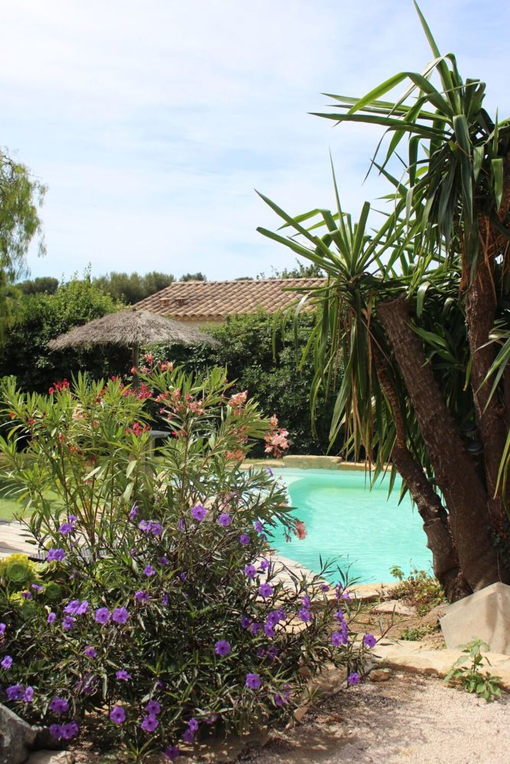   Villa familiale avec grande piscine à Six-Fours-les-Plage Provence-Alpes-Côte d'Azur, Six-Fours-les-Plages (83140)