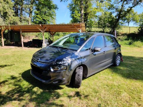 Citroen c4 picasso Citroën  PureTech 110 S&S Live