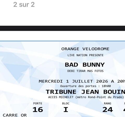 concert bad bunny France 150 Pierre-de-Bresse (71)