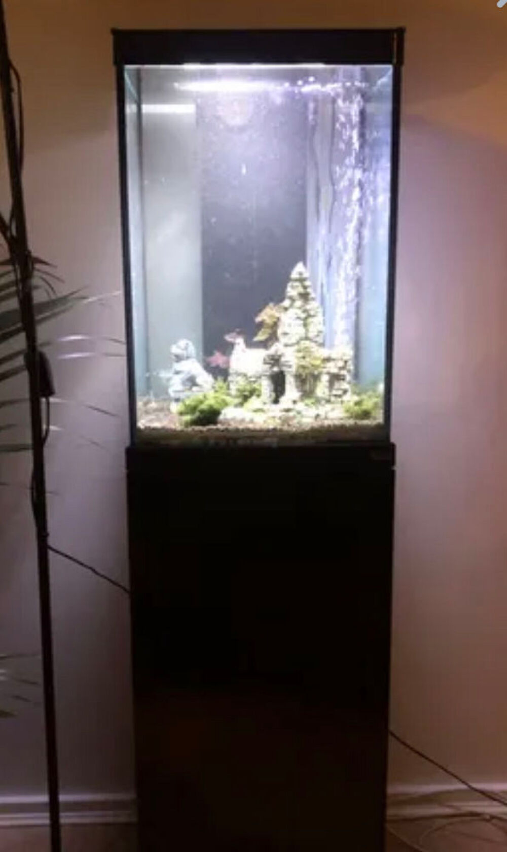 Aquarium 96 litres et meuble Truffaut ! Meubles