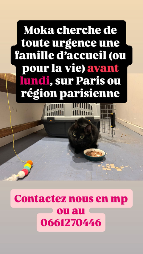 MINETTE 0 75018 Paris