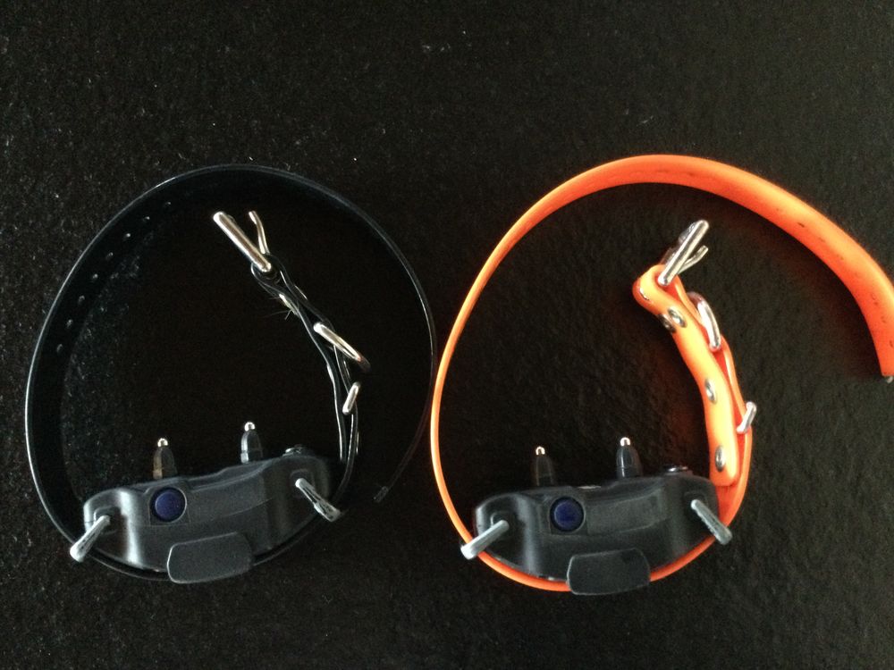 Collier Dogtra ARC 1202S Sports