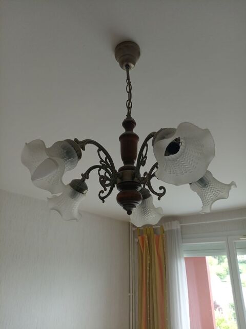 Lustre salon 20 Castres (81)