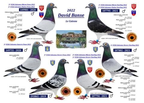Pigeons voyageurs 2023 59360 Le cateau-cambrsis