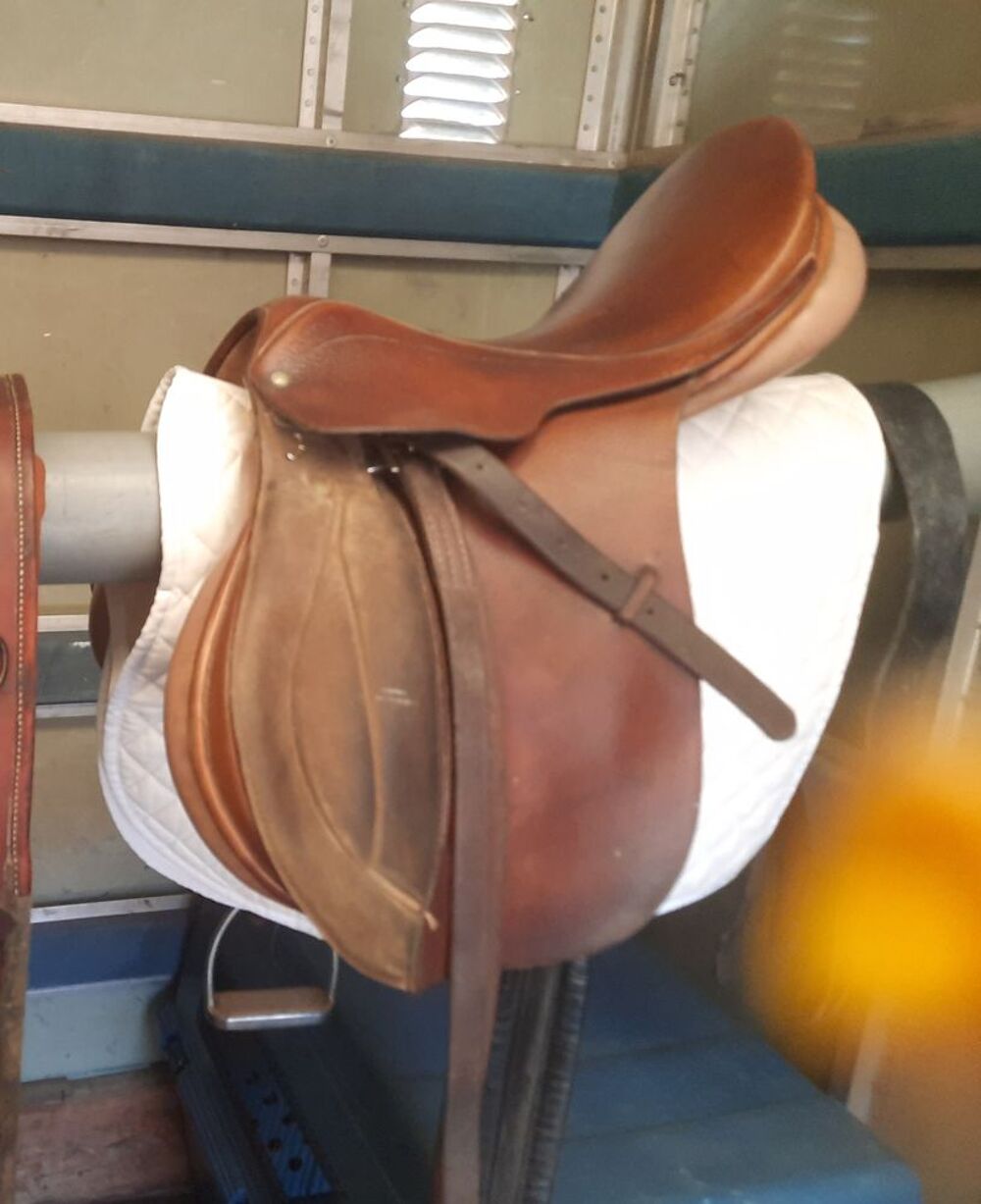 Selle equitation. Sports