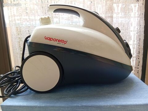 Nettoyeur vapeur Vaporetto 70 Grisolles (82)