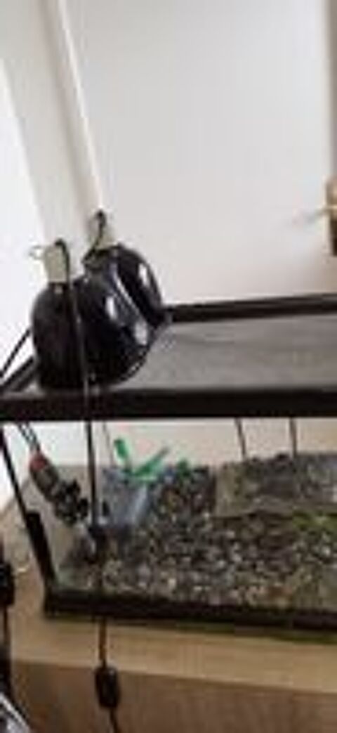   Lot de 5 articles grand aquarium  avec  tout équipements  