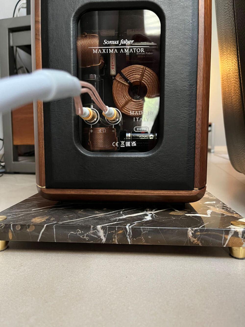 Sonus Faber Maxima Amator Audio et hifi