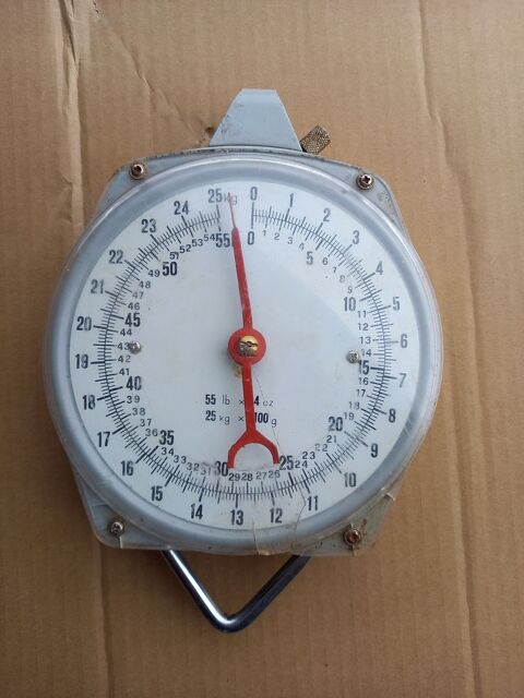 Balance peson dynamom�trique 25 kg 3 Boisset-et-Gaujac (30)