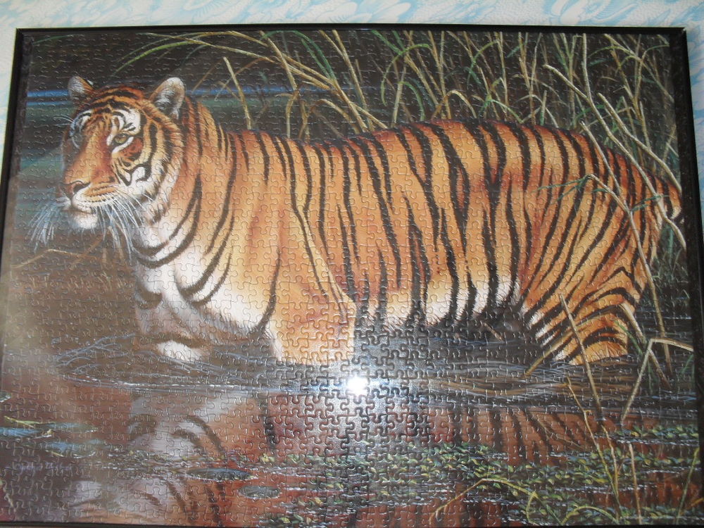 Puzzles tigres encadr&eacute;s sous verre 50x70 Décoration