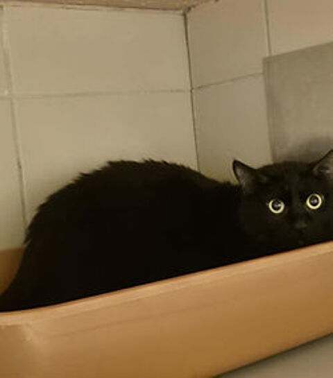 Vaytroi 200 26700 Pierrelatte