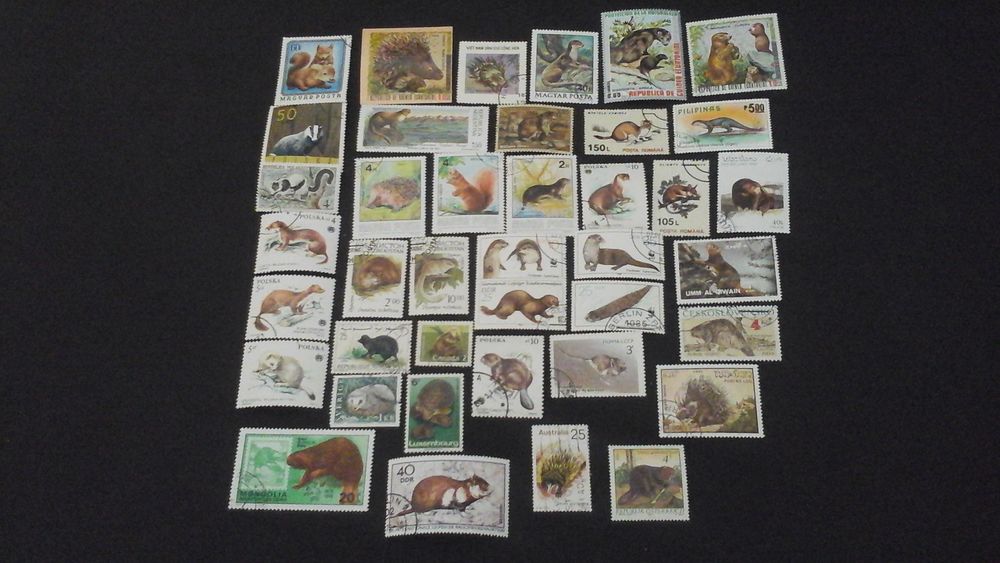 Timbres sur les petits animaux 
