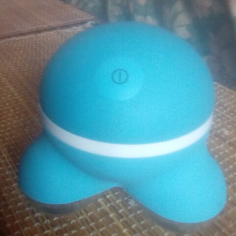 massage vibrant 10 Beauchamp (95)