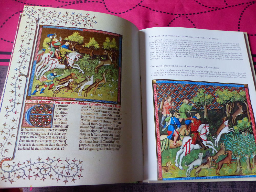 Le LIVRE de la CHASSE Livres et BD