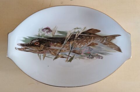 Plat poisson U.M.L. 20 Vierzon (18)