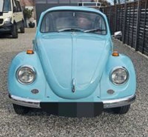 COCCINELLE II 1971 occasion 20260 Calvi