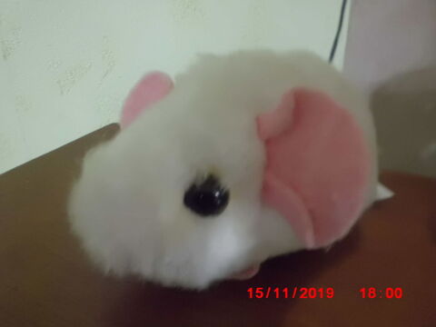 SOURIS BLANCHE ET ROSE CHAMTI 12 Oignies (62)