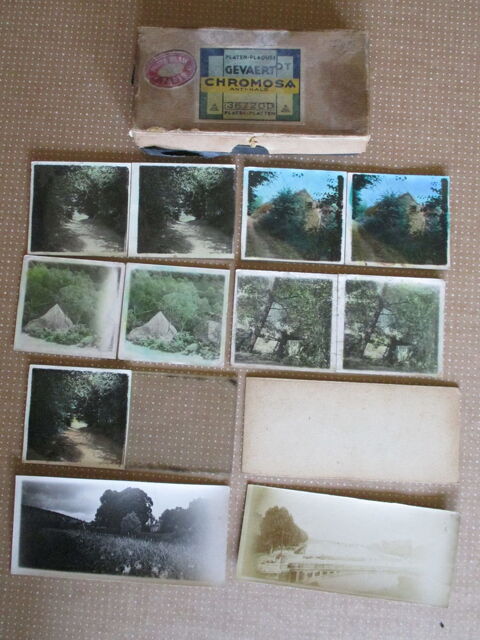 Plaques Gevaert  Chromosa anti-halo 15 Saint-Yrieix-la-Perche (87)