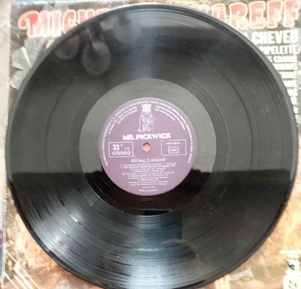 MICHEL POLNAREF / 10 X DISQUES VYNIL 33 TOURS ET 45 TOURS / CD et vinyles