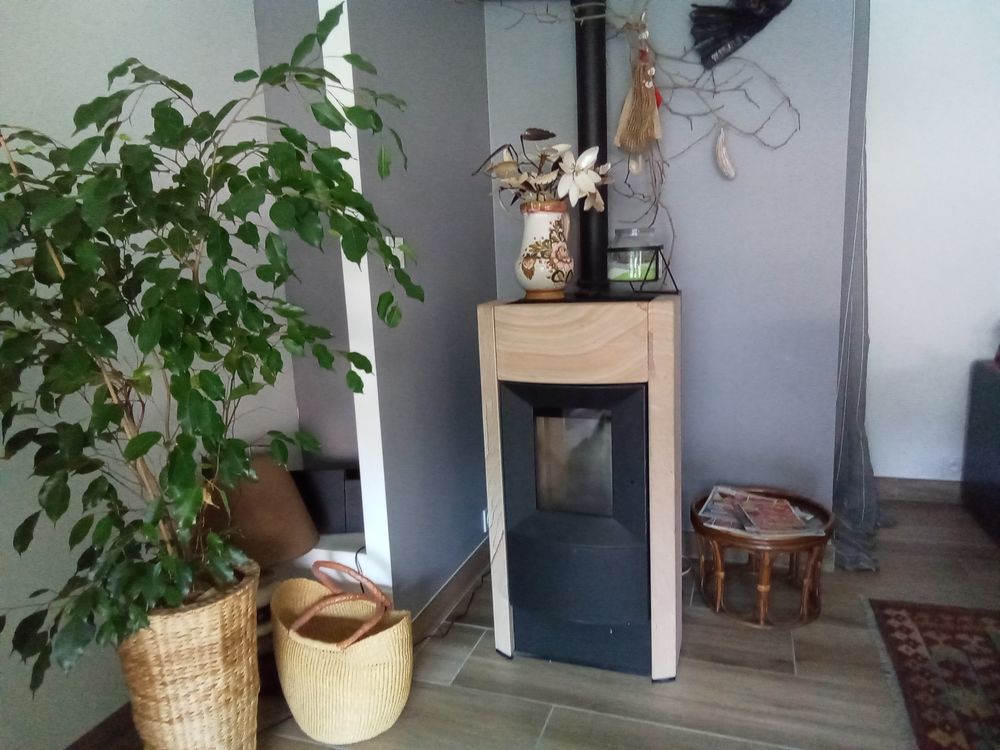 Po&ecirc;le a granul&eacute;s Mod&egrave;le Rika , programmable .
Bricolage