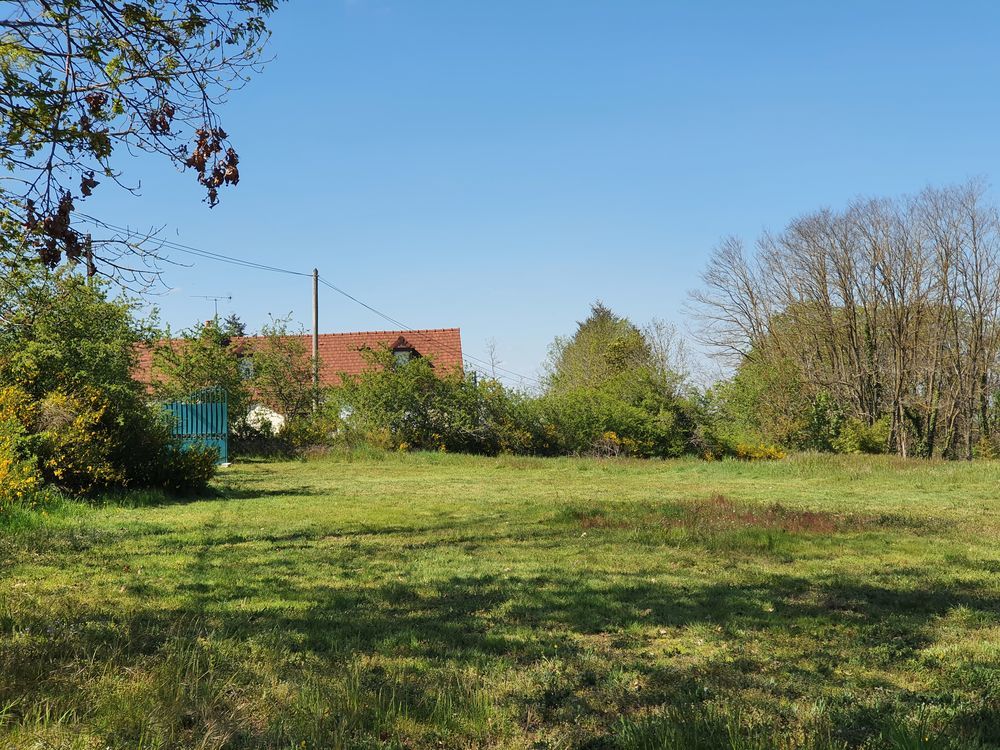 Vente Terrain Terrain Constructible 1,23ha (12350 m2) 8,5 € m2 à Débattre Tronget