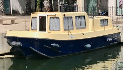 Bateaux &agrave; moteur Bateau fluvial 1989 occasion Aigues-Mortes 30220
