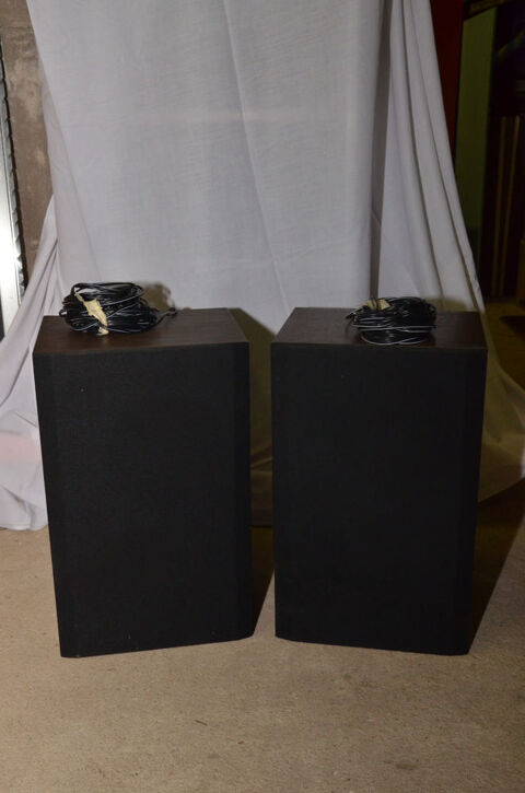 Lot de 2 enceintes Jussieu 50 W 8 ohms 0 Prades (43)