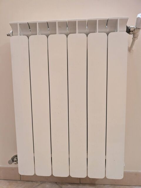 radiateur en fonte d'aluminium Blanc 6 éléments 35 Vitrolles (13)