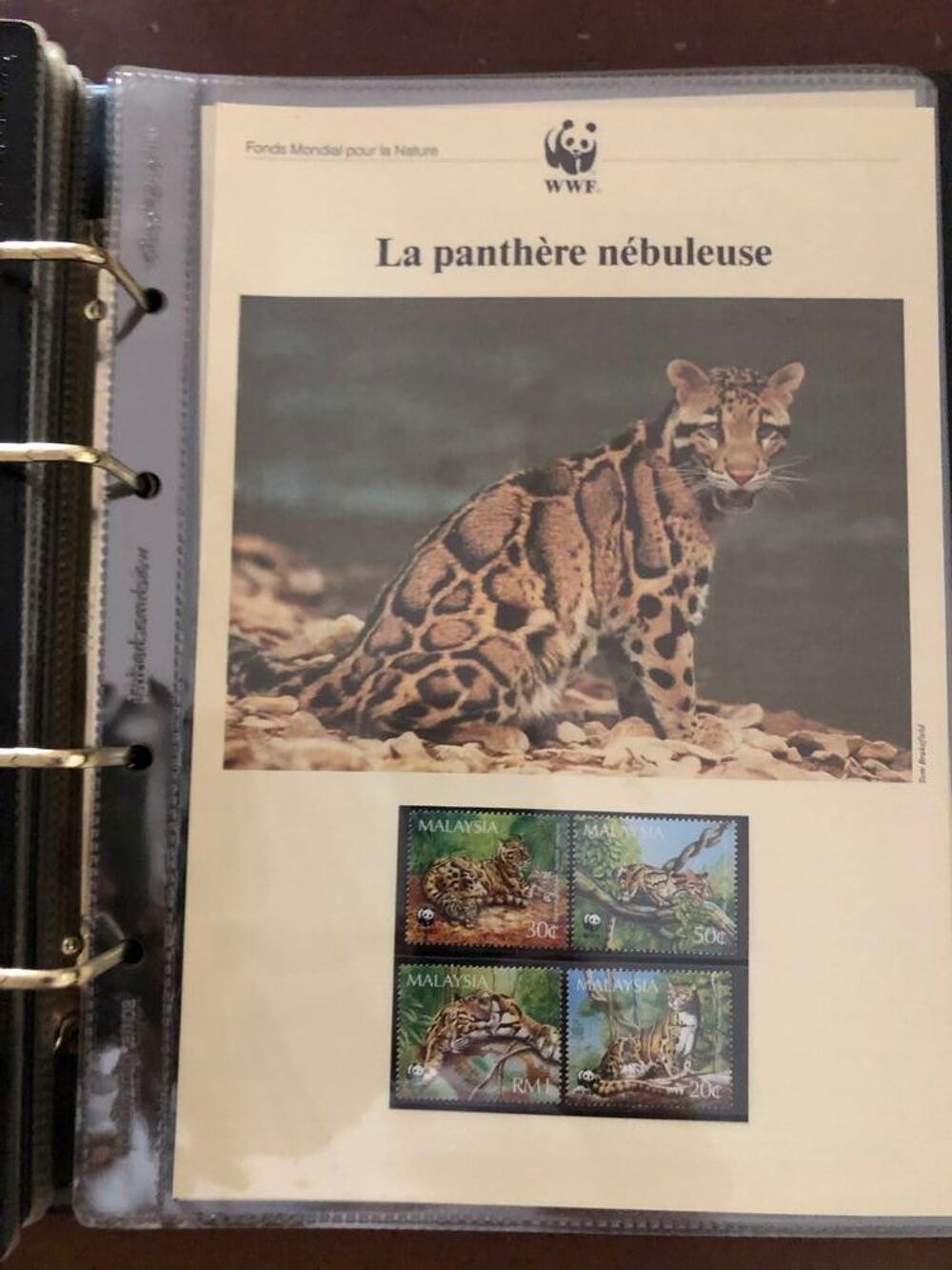 timbres de collection 
