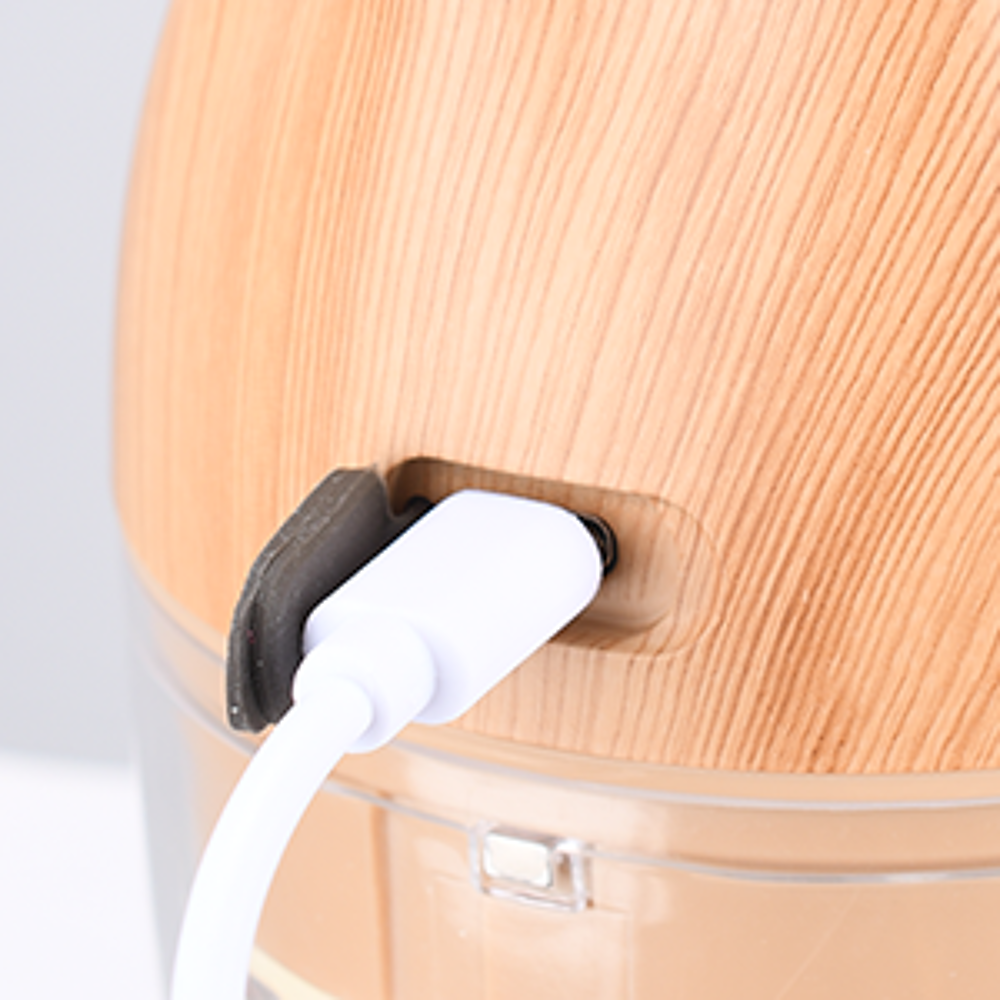 Mini mixeur &agrave; batterie TOPESCT Electroménager