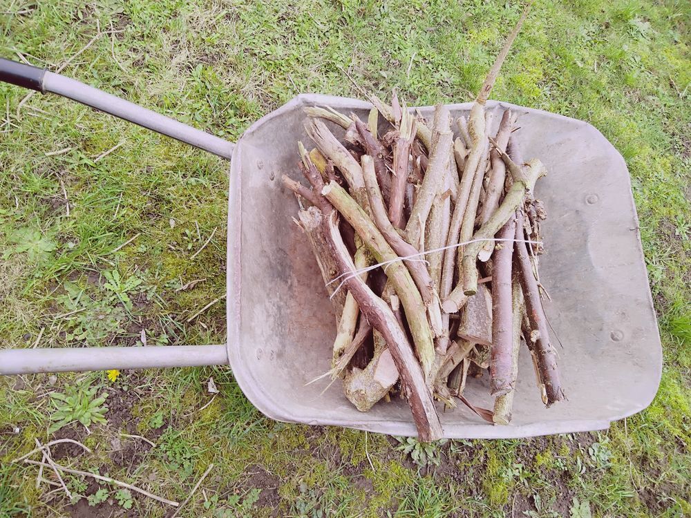 Petit bois d'allumage - branchettes Jardin