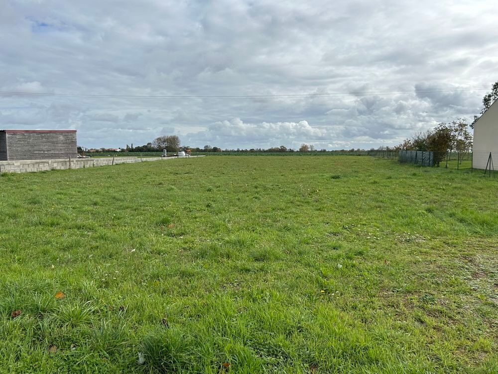 Vente Terrain Terrain constructible Montreuil