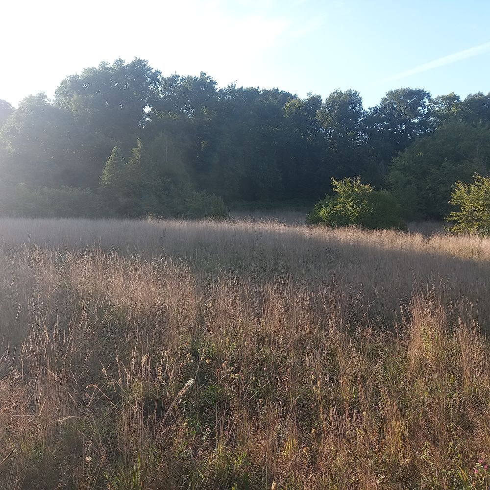 Vente Terrain POUR INVESTISSEUR TERRAIN A LOTIR CREUTZWALD Creutzwald