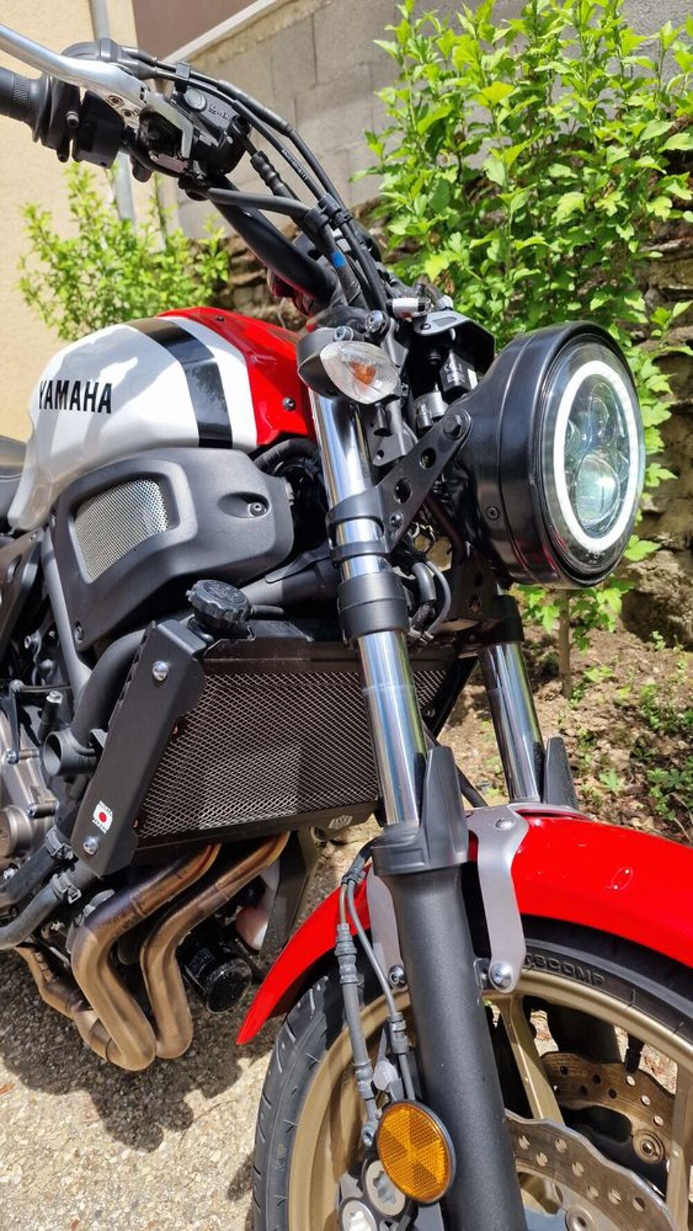 YAMAHA 2021 occasion 69700 Loire-sur-Rh&ocirc;ne