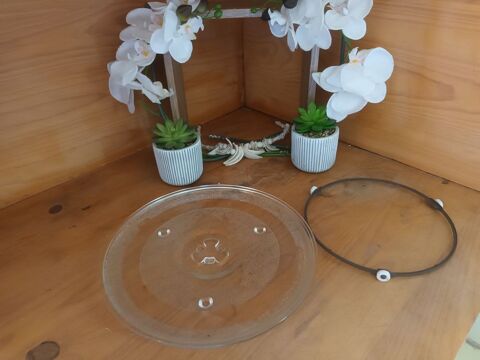 Plat micro ondes 29 cm 4 Toulon (83)