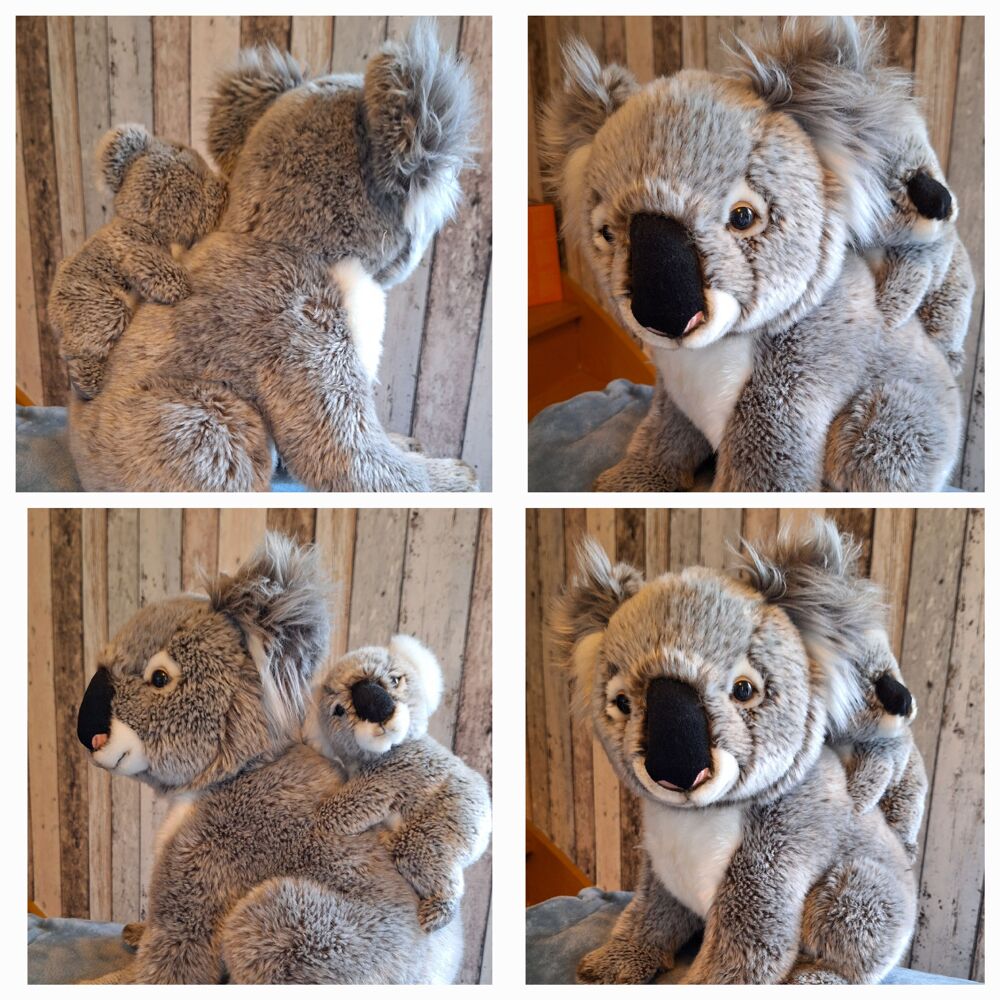 Belle peluche koala et son bebe Jeux / jouets