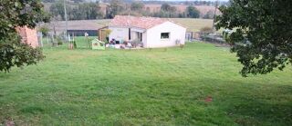  Terrain � vendre 905 m� Albi