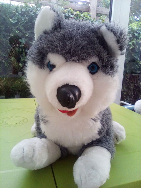 Grosse peluche husky 12 Orléans (45)
