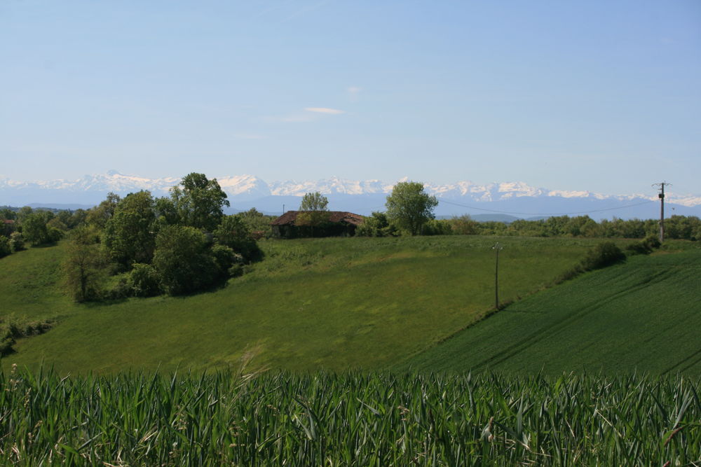 Vente Ferme Ferme a rénover avec vue Pyrénées Montastruc-savès